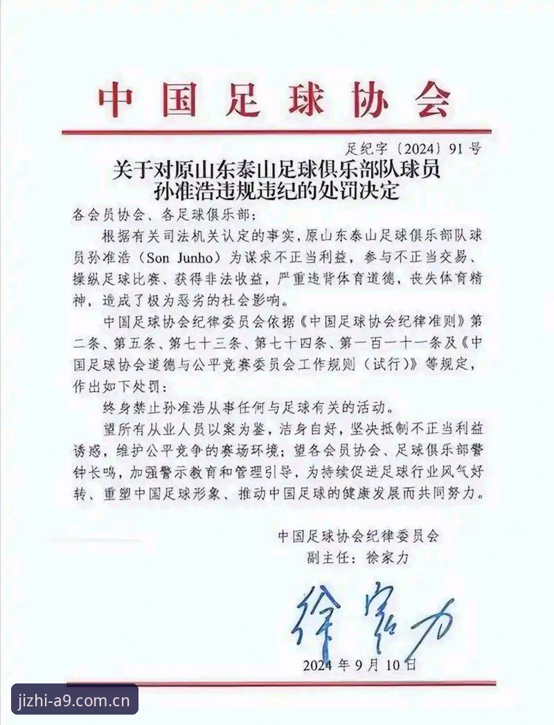 中国足协第三批禁足名单完整解读指南：17人终身禁赛，48人面临5年禁止从业